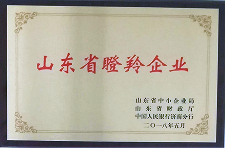 OG真人官方顺利获得2021年度“山东省瞪羚企业”复审